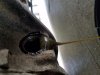 20160511_122625.jpg 20160511_122625.jpg
