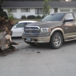 Ecodiesel Stump Pulling