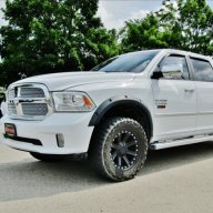 The Great White EcoD
