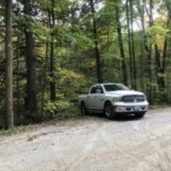 ecodiesel3316