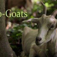 ecogoat
